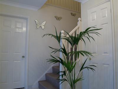Picture 14